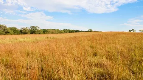 00 Elk St, Murray, IA 50174 photo 8