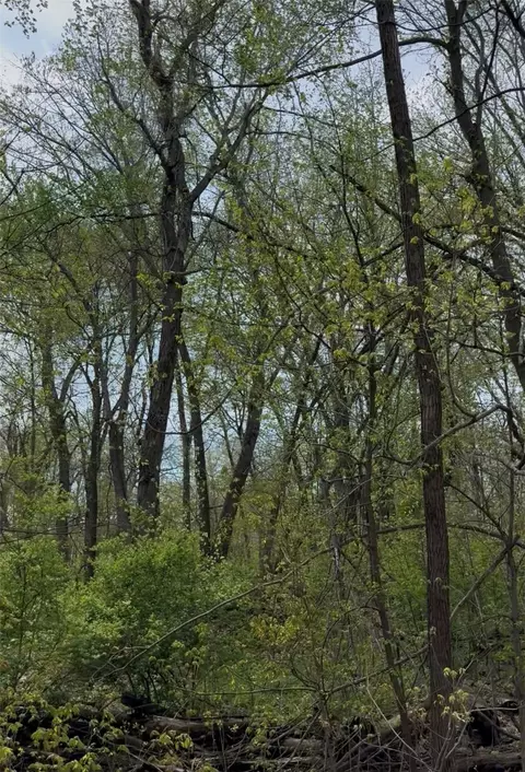 5834 Timber Creek Rd, Cedar Rapids, IA 52411 photo 3