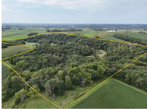 Bluebird Rd., Cascade, IA 52033 photo 5