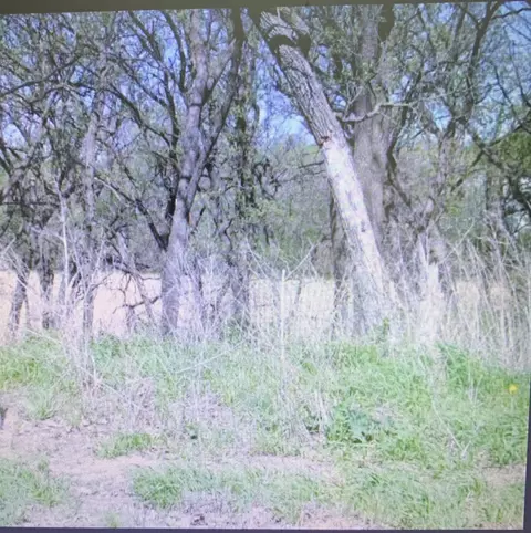 lot4 Christy St, Carson, IA 51525