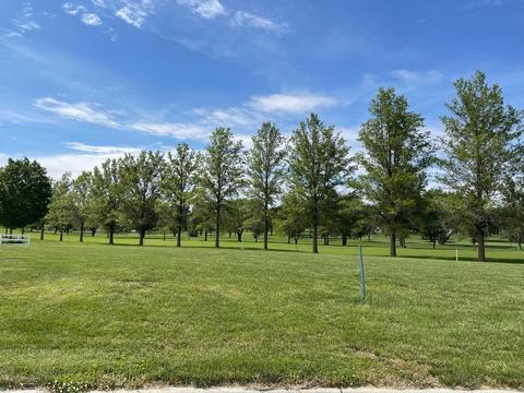 lot10 Victory Ln, Dunlap, IA 51529