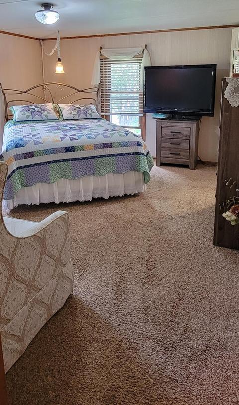 409 E Jaycee St, Avoca, IA 51521 photo 41