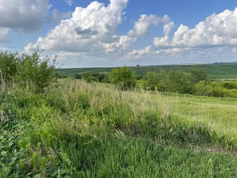 22 3 Ac Parcel F L66, Oakland, IA 51560