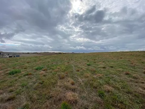10 Acres Applewood Rd, Glenwood, IA 51534