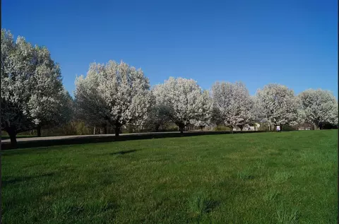 lot43 Eagle Rdg, Missouri Valley, IA 51555