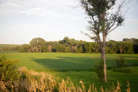 35003 Elmtree Rd, Carson, IA 51525 photo 22