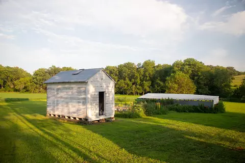 35003 Elmtree Rd, Carson, IA 51525 photo 12