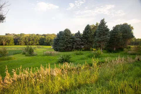 35003 Elmtree Rd, Carson, IA 51525 photo 23