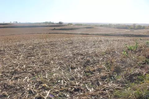 613 Clark Rd, Oakland, IA 51560