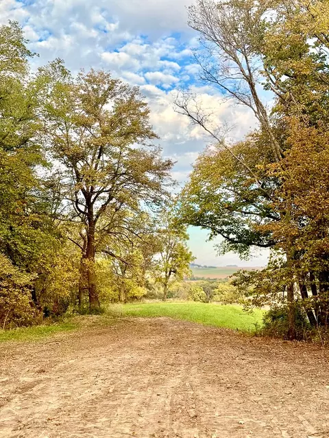 40 Acres 305th St, Malvern, IA 51551