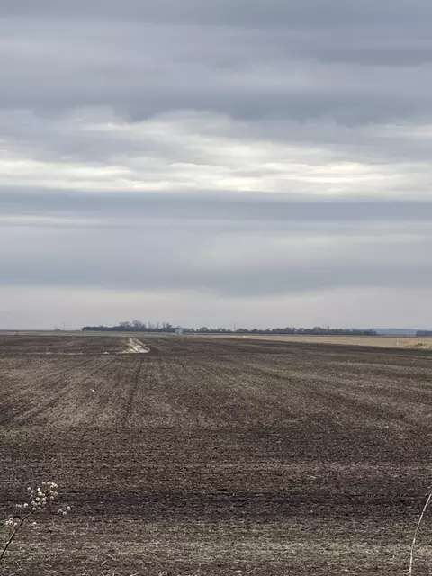 310 Th St, Blencoe, IA 51523
