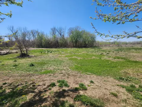1447 Benton Ln, Little Sioux, IA 51545