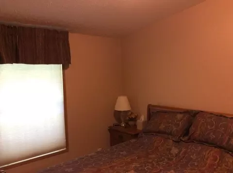 240 Wall St, Lansing, IA 52151 photo 8