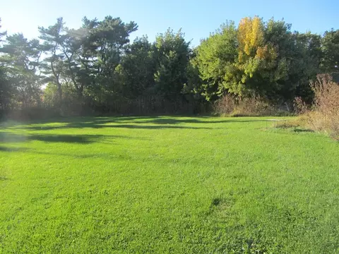 26431 Vail, Shell Rock, IA 50670 photo 18