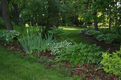 2367 E Ridge Rd, Decorah, IA 52101 photo 16