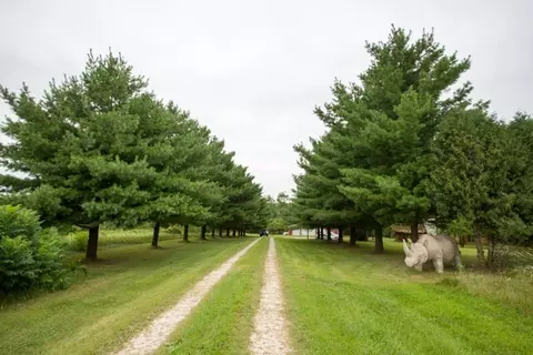 1690 Cunningham Rd, Dunkerton, IA 50626 photo 2