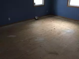 508 Cherry St, Allison, IA 50602 photo 3
