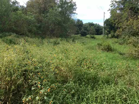 236 Th Ave, Decorah, IA 52101 photo 2