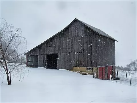 5357 152nd St, Onslow, IA 52321 photo 18