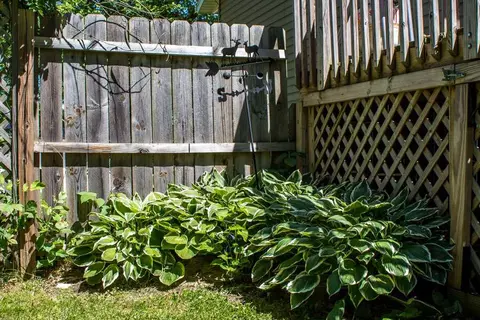 1012 Triangle, Shell Rock, IA 50670 photo 18