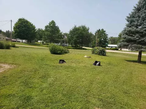 12615 Maple St, Eldorado, IA 52175 photo 7