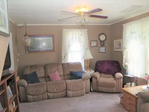703 Maple Ave, Decorah, IA 52101 photo 4