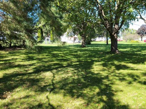 223 Wolf Ave, Readlyn, IA 50668 photo 15