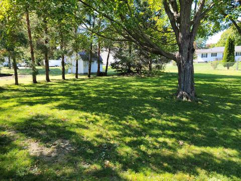 223 Wolf Ave, Readlyn, IA 50668 photo 14