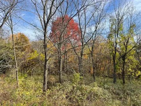 Lot 11 Royal Oaks Estate Lane, Harpers Ferry, IA 52146