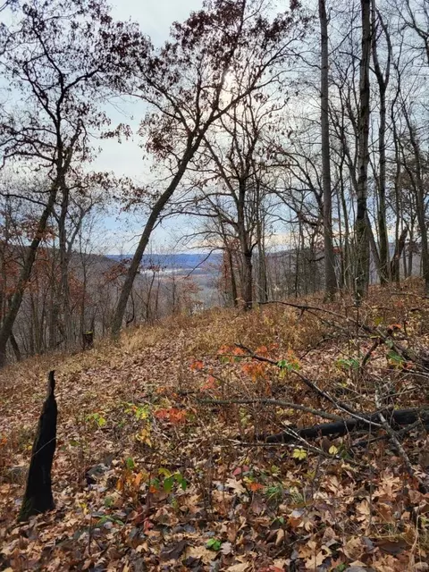 Lot 7 Royal Oaks Subdivision, Harpers Ferry, IA 52146