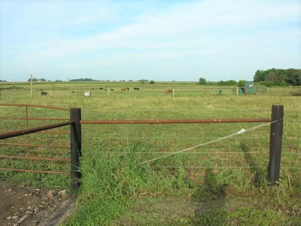  3450 Foothill Ave, Osage, IA 50461 photo 29