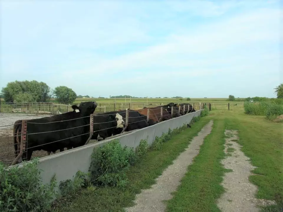  3450 Foothill Ave, Osage, IA 50461 photo 28