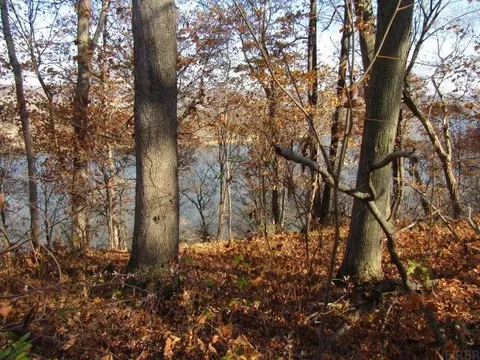 Lot 7 Blue Heron Dr, Guttenberg, IA 52052