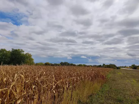 25 Th St, Chester, IA 52134