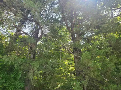 Lot-8 Acres M/l V Avenue, Cedar Falls, IA 50613