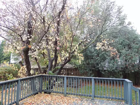 2808 Apollo St, Cedar Falls, IA 50613 photo 3
