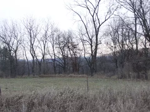 Chestnut Road, Waterville, IA 52170