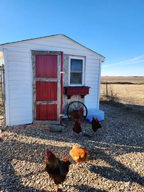 25631 Sinclair Ave, Allison, IA 50602 photo 30
