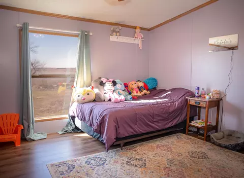 25631 Sinclair Ave, Allison, IA 50602 photo 19