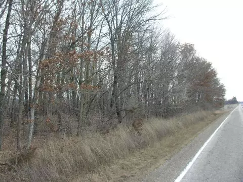 March Avenue, Osage, IA 50461