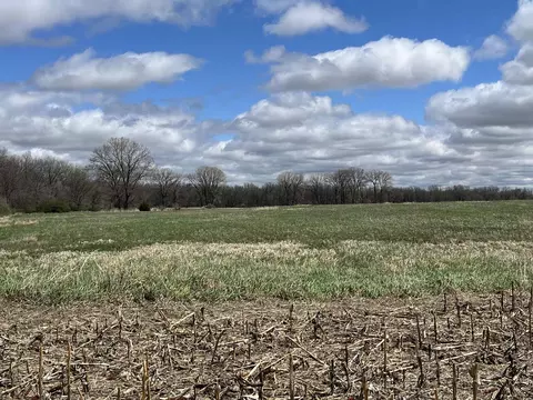 160 Th, Dumont, IA 50625