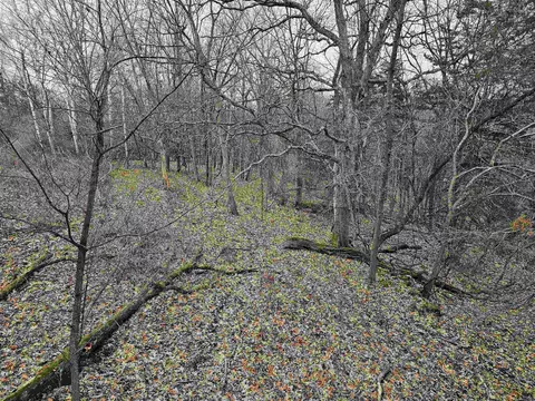 1457 Trout Rd, Lansing, IA 52151