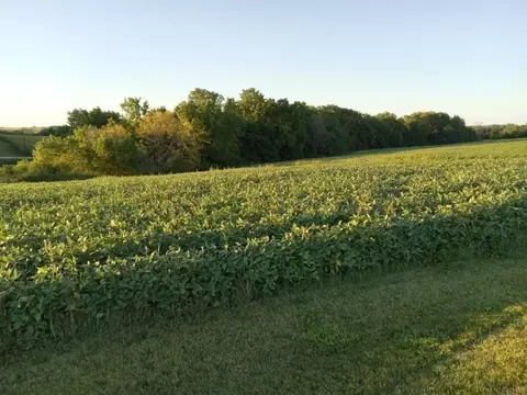 Allamakee Cty. Parcel APT, Harpers Ferry, IA 52146