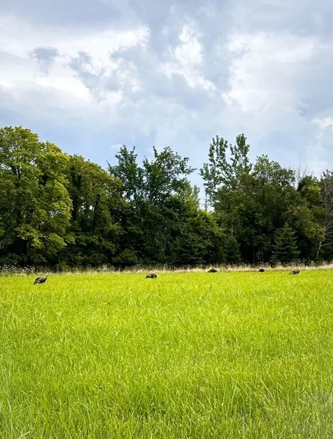 Nn 250th Street, Denver, IA 50622
