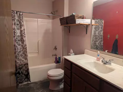 Bath - 1713 Terrace Rd, Decorah, IA 52101 photo 4 of 5