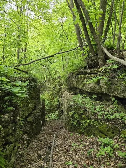 Partridge Road, Holy Cross, IA 52053