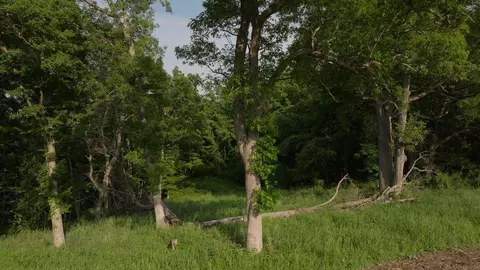 198 Th Ave, Decorah, IA 52101 photo 19