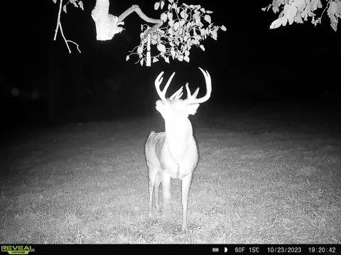 198 Th Ave, Decorah, IA 52101 photo 26
