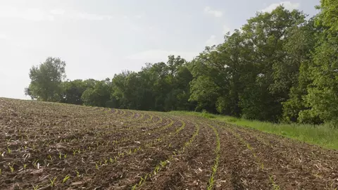 198 Th Ave, Decorah, IA 52101 photo 21