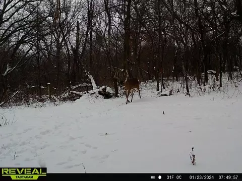 198 Th Ave, Decorah, IA 52101 photo 30